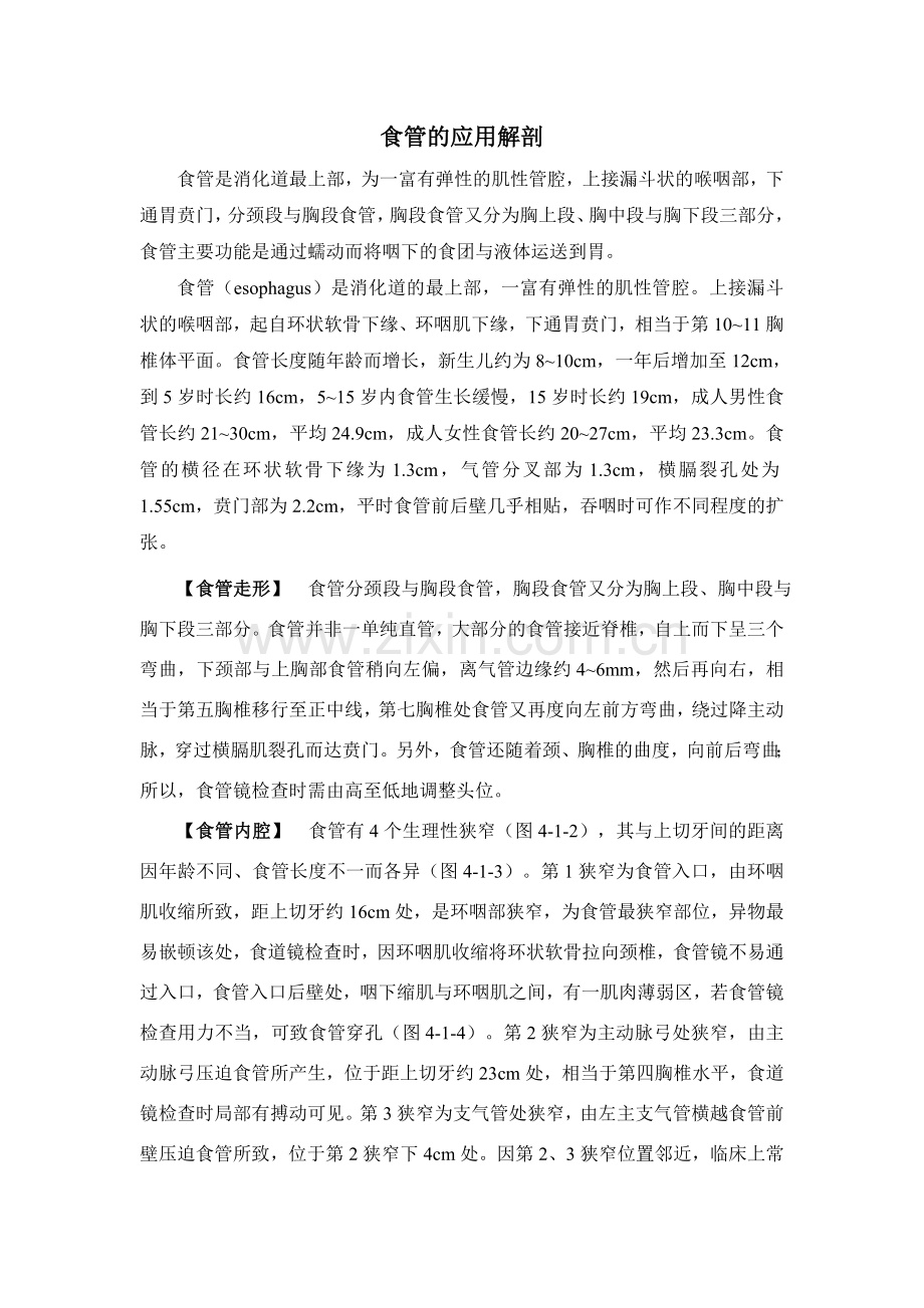 食管的解剖.doc_第1页
