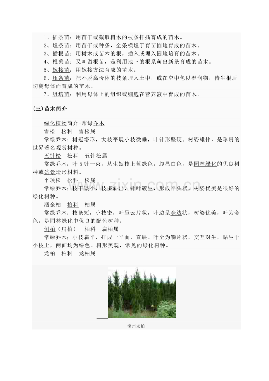 苗木知识.doc_第2页