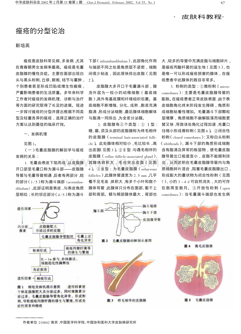 痤疮的分型论治.pdf_第1页