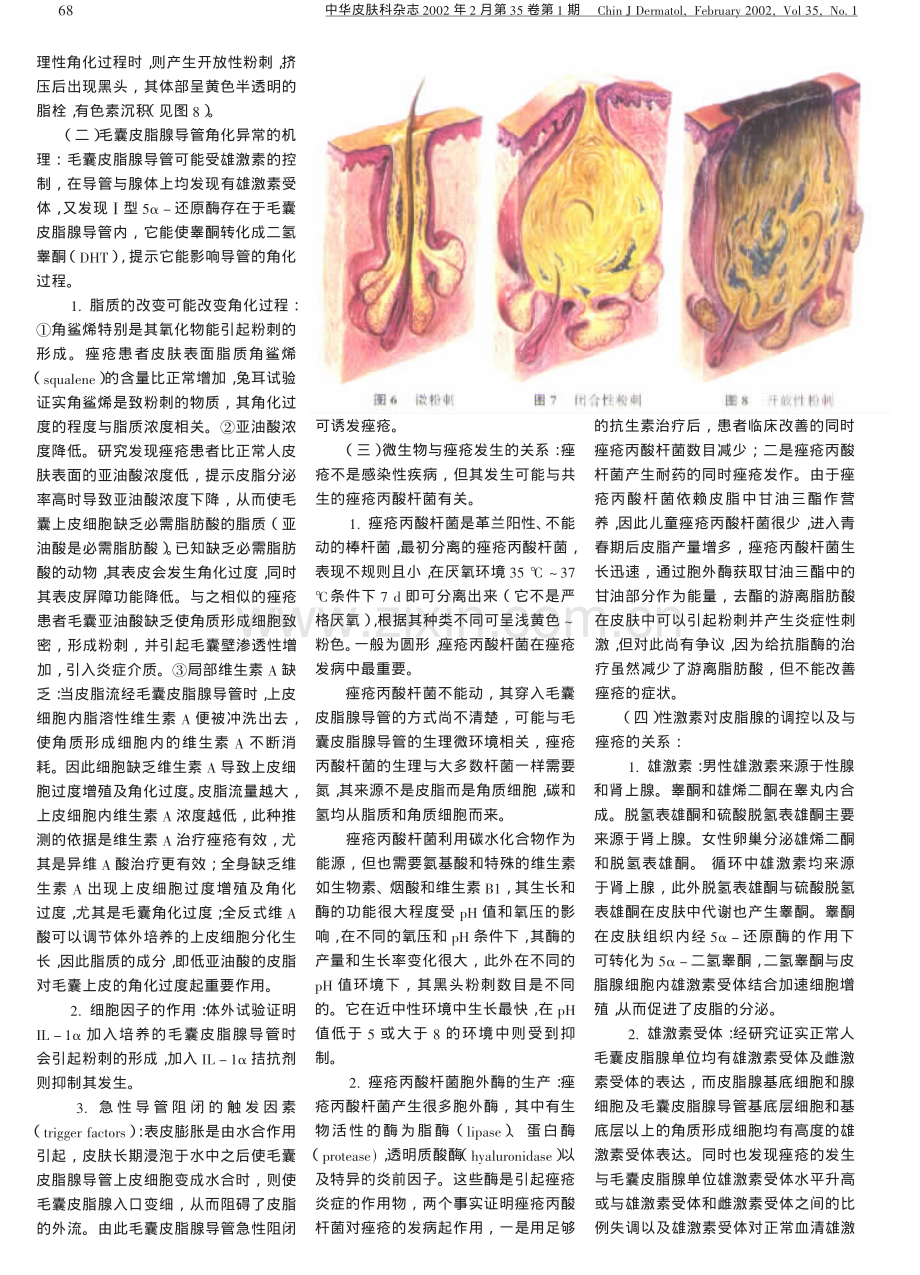 痤疮的分型论治.pdf_第2页