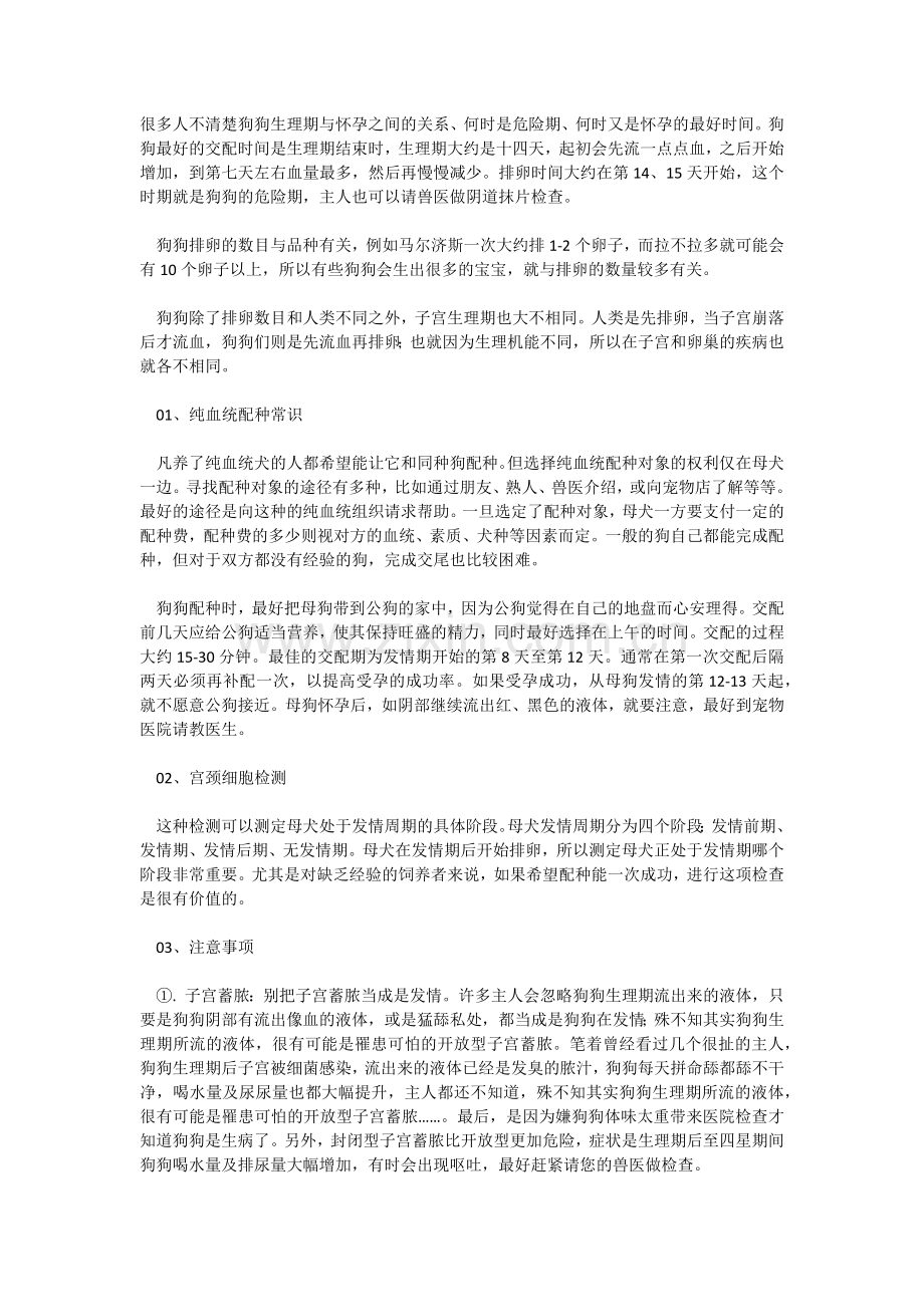 生小狗注意事项.docx_第1页