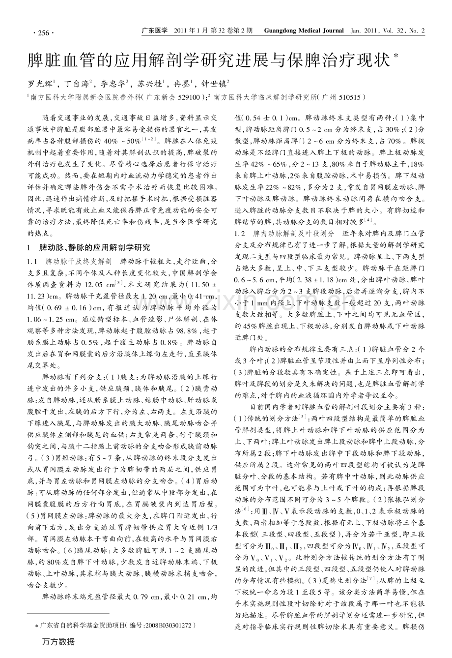 脾脏血管.pdf_第1页