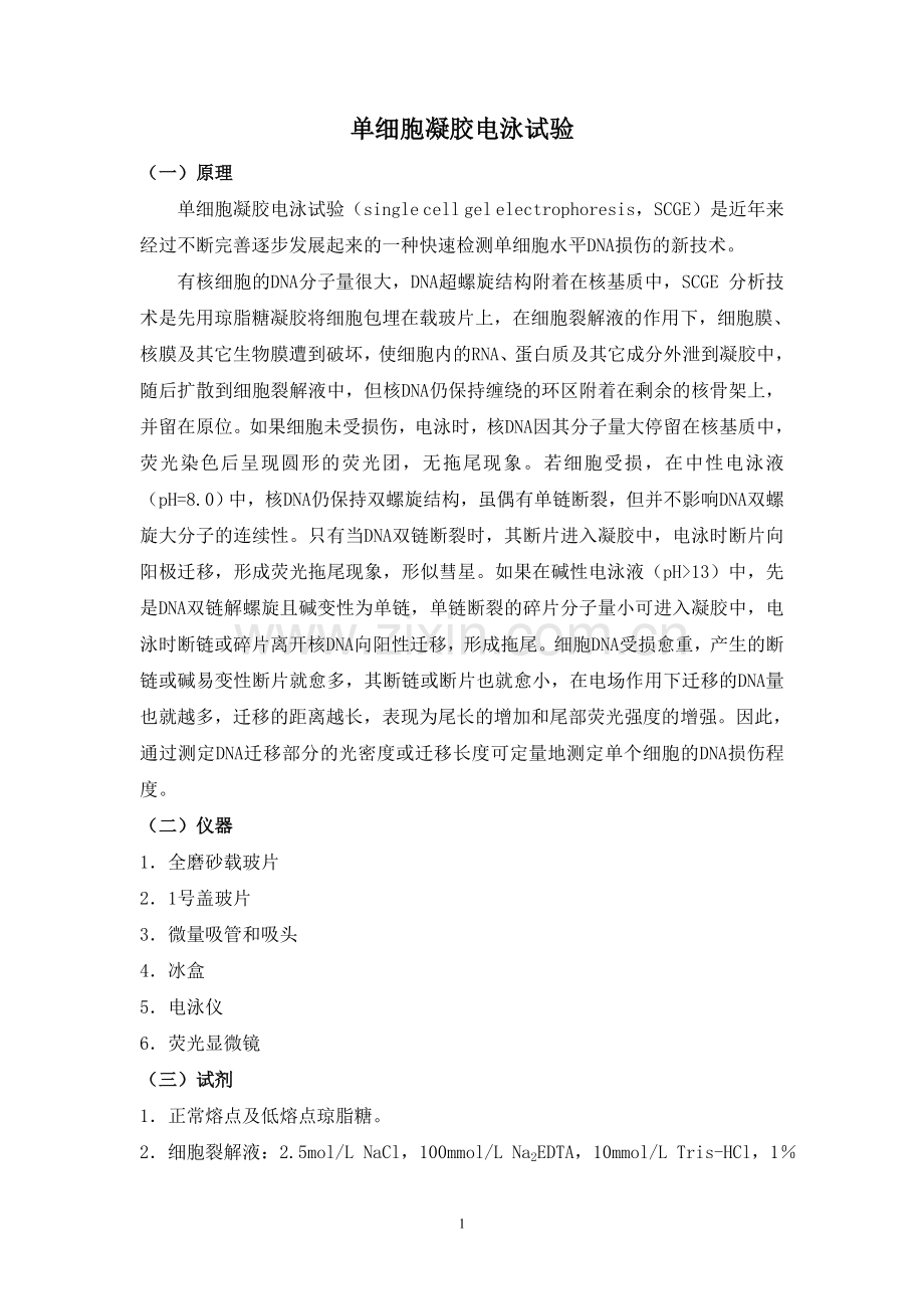 单细胞凝胶电泳试验.doc_第1页