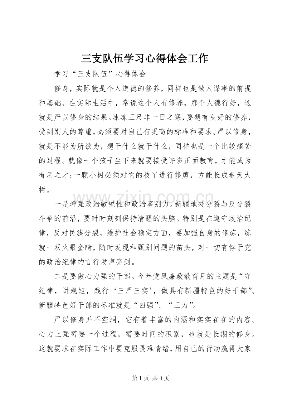 三支队伍学习体会心得工作.docx_第1页