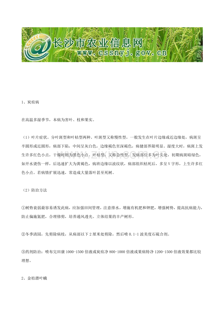金桔病虫害防治.docx_第2页