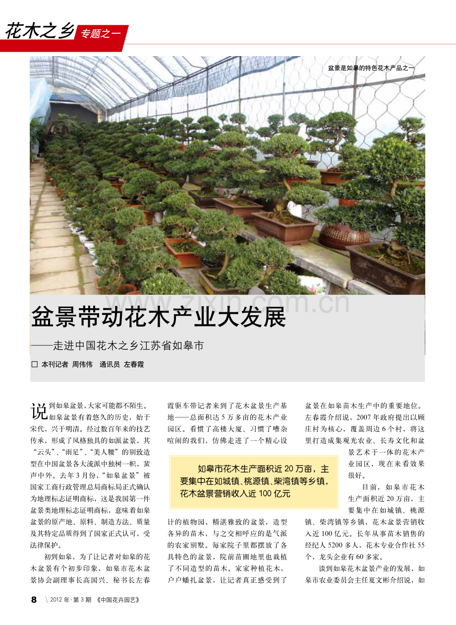 盆景带动花木产业大发展_走进中国花木之乡江苏省如皋市.pdf_第1页