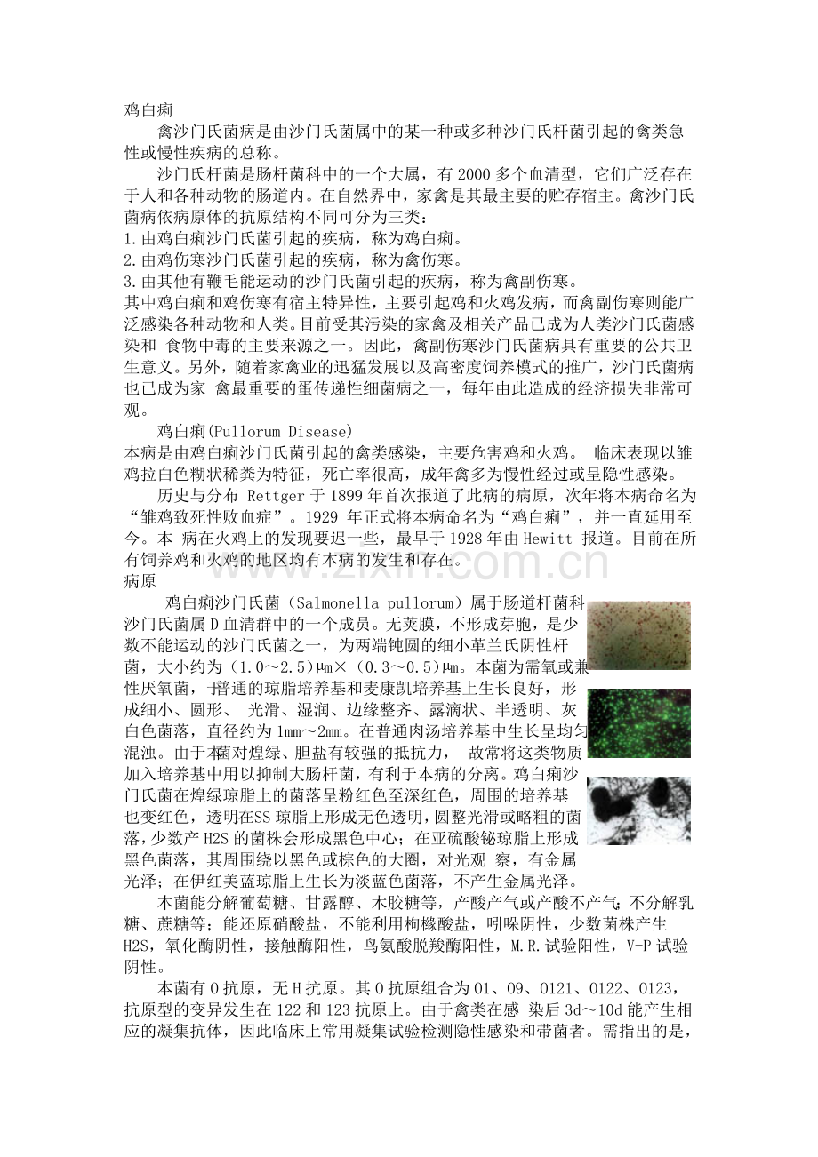 鸡白痢_禽病学.doc_第1页