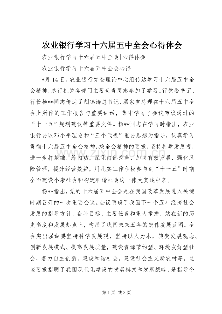 农业银行学习十六届五中全会体会心得.docx_第1页