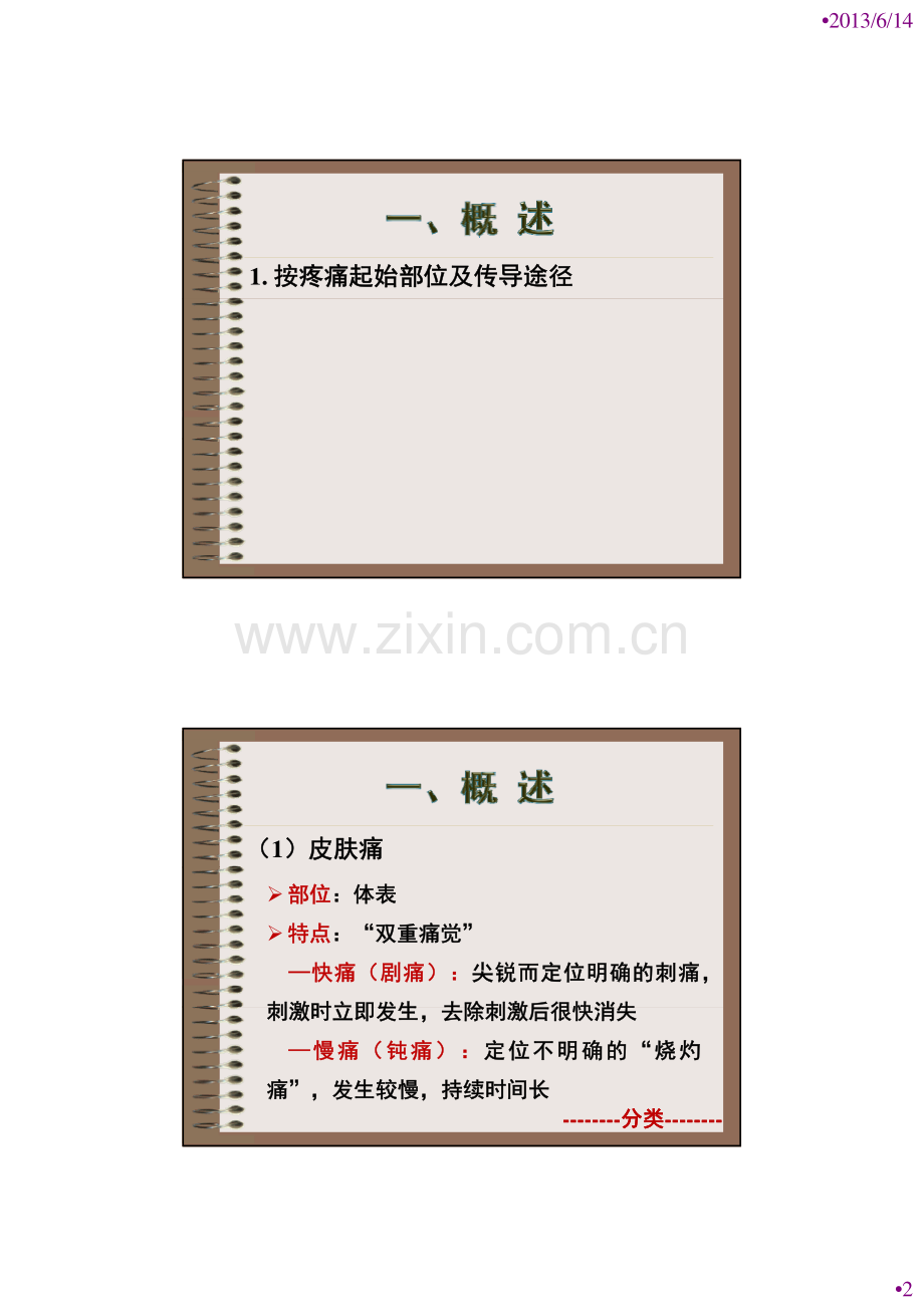 疼痛 [兼容模式].pdf_第2页