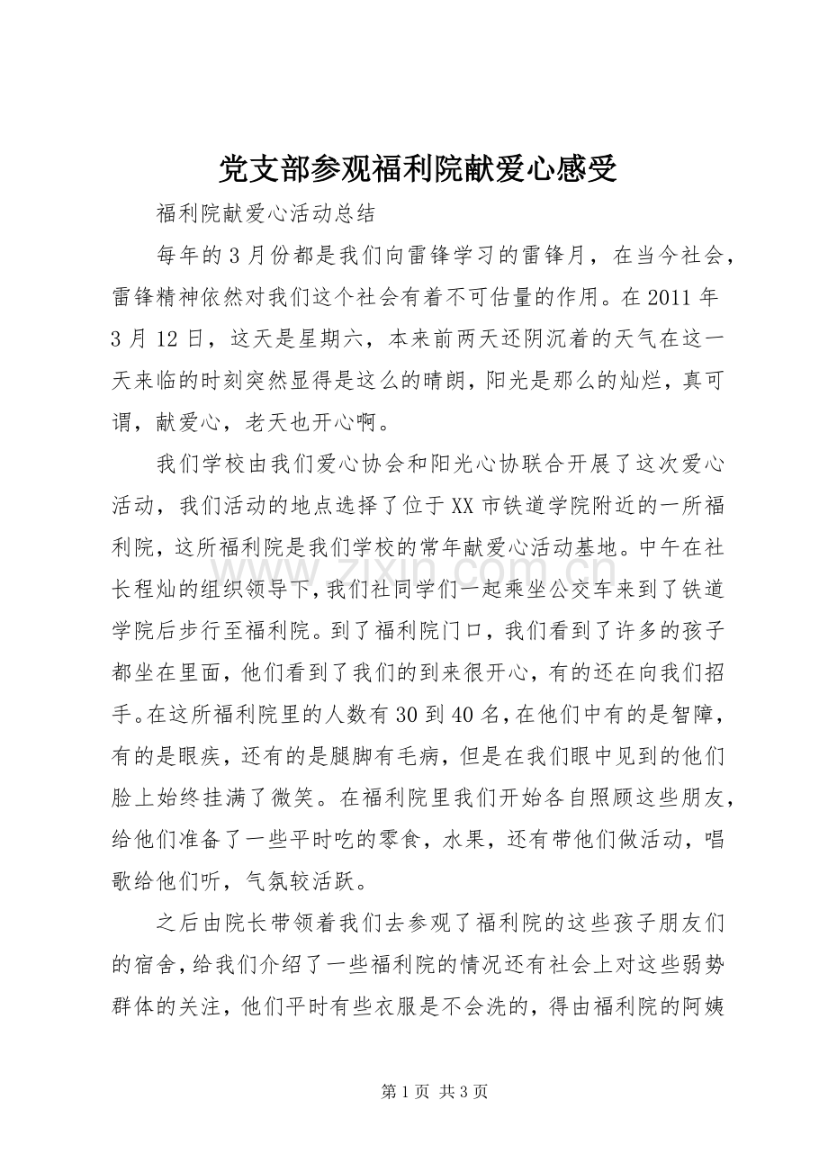 党支部参观福利院献爱心感受.docx_第1页