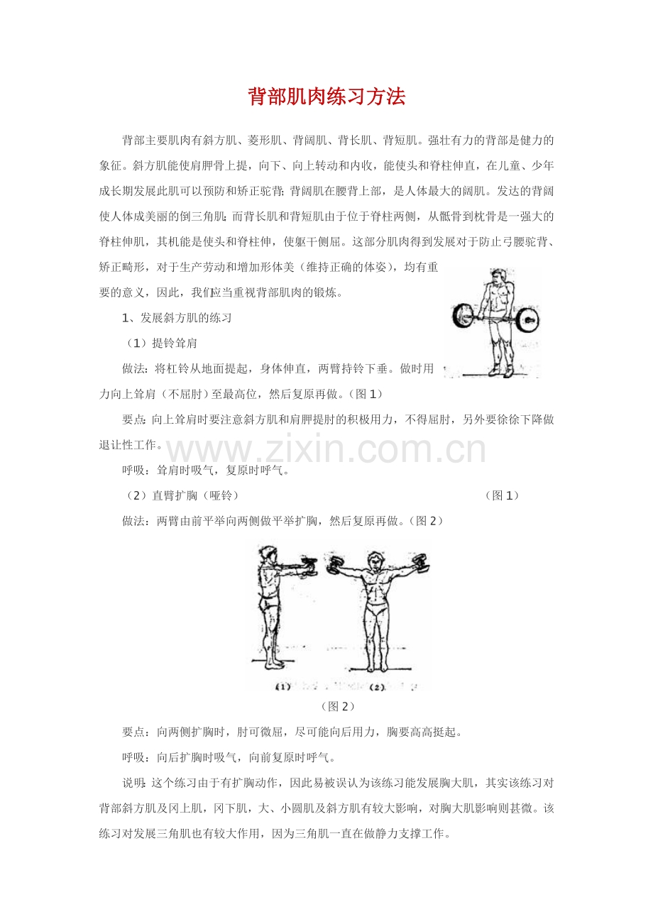 背部肌肉练习方法.doc_第1页