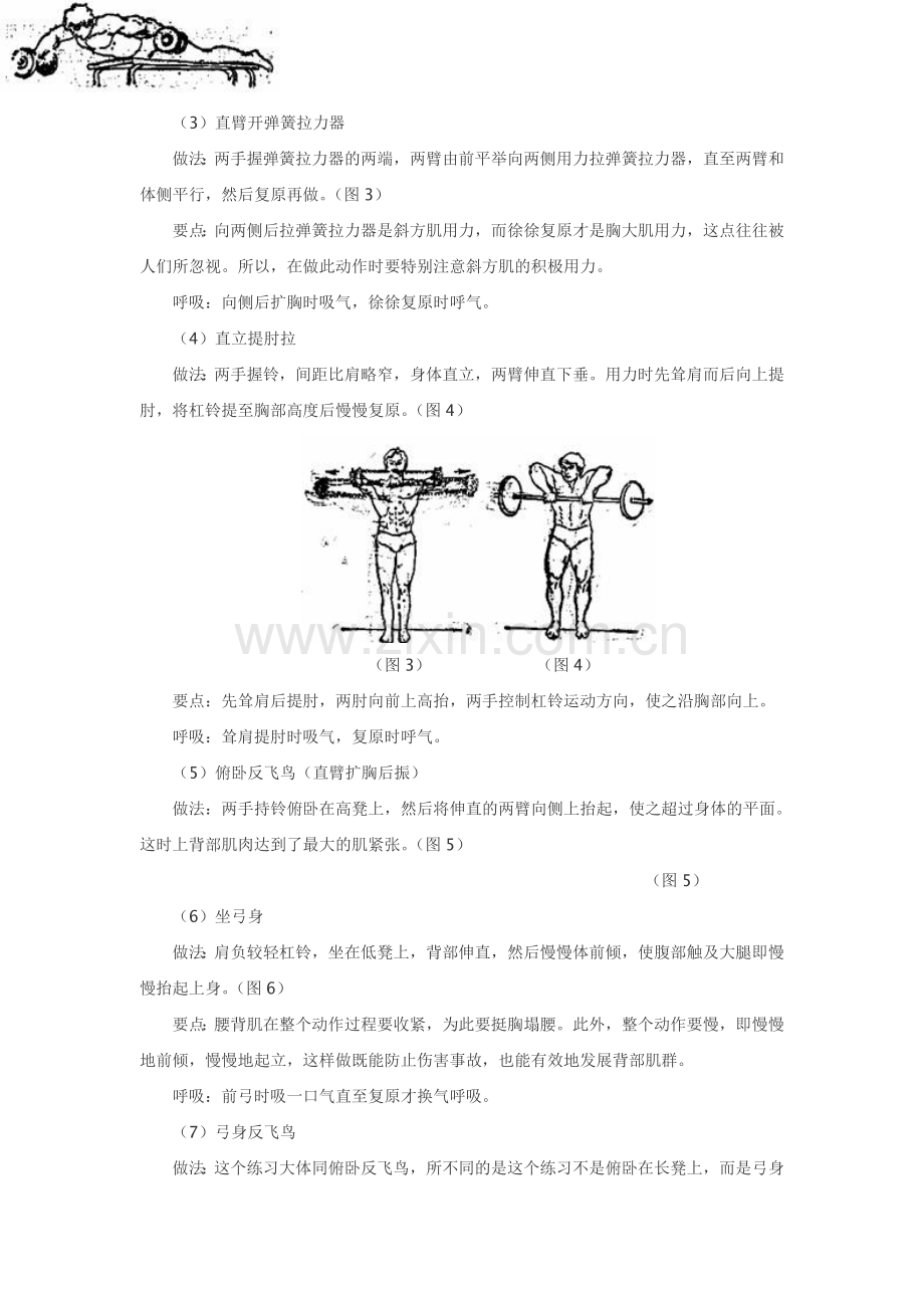 背部肌肉练习方法.doc_第2页