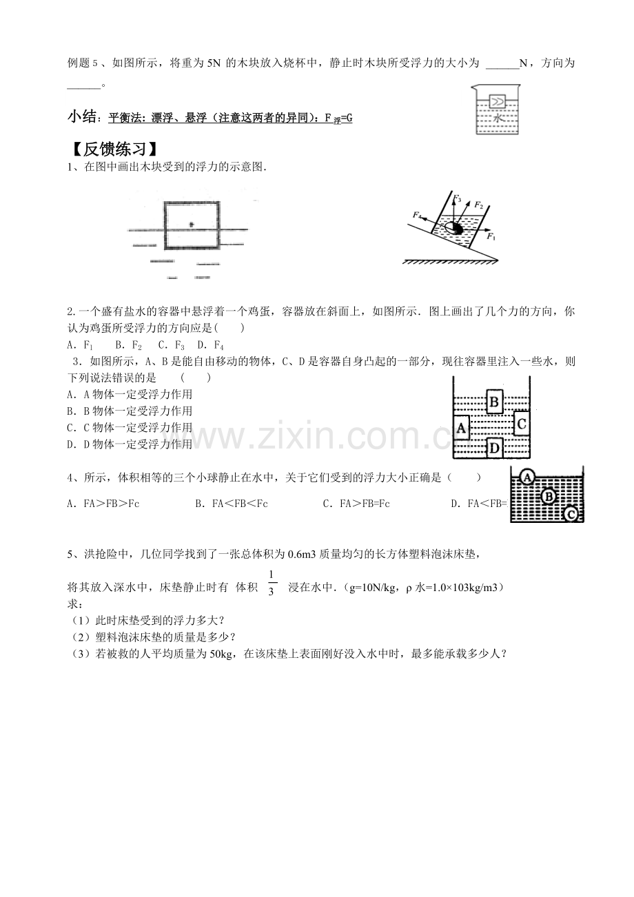 浮力复习教案.doc_第2页