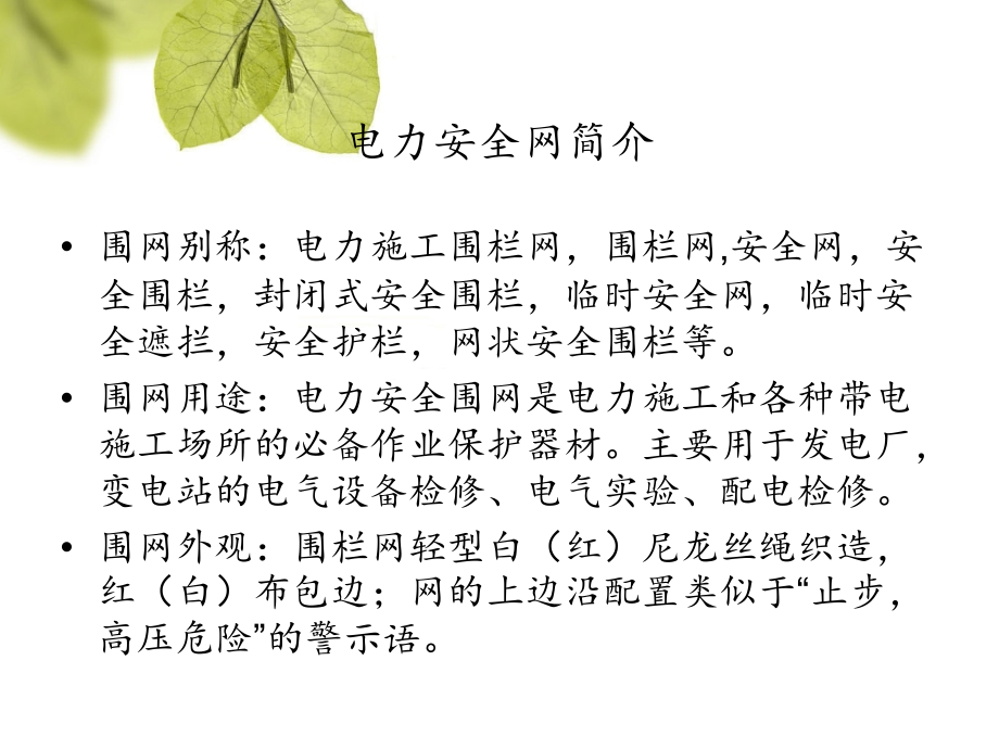 电力安全网.ppt_第2页