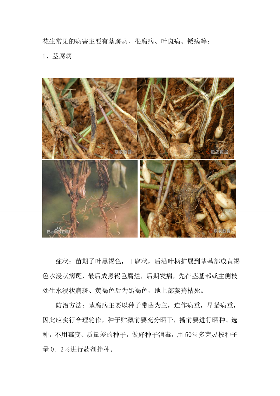 花生常见病虫害.doc_第1页