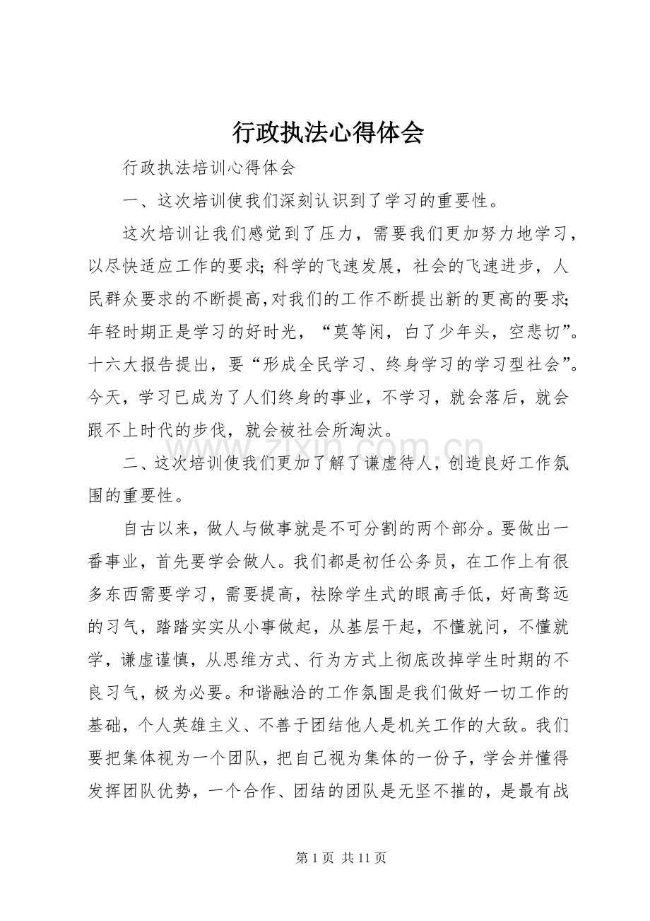 行政执法体会心得.docx_第1页