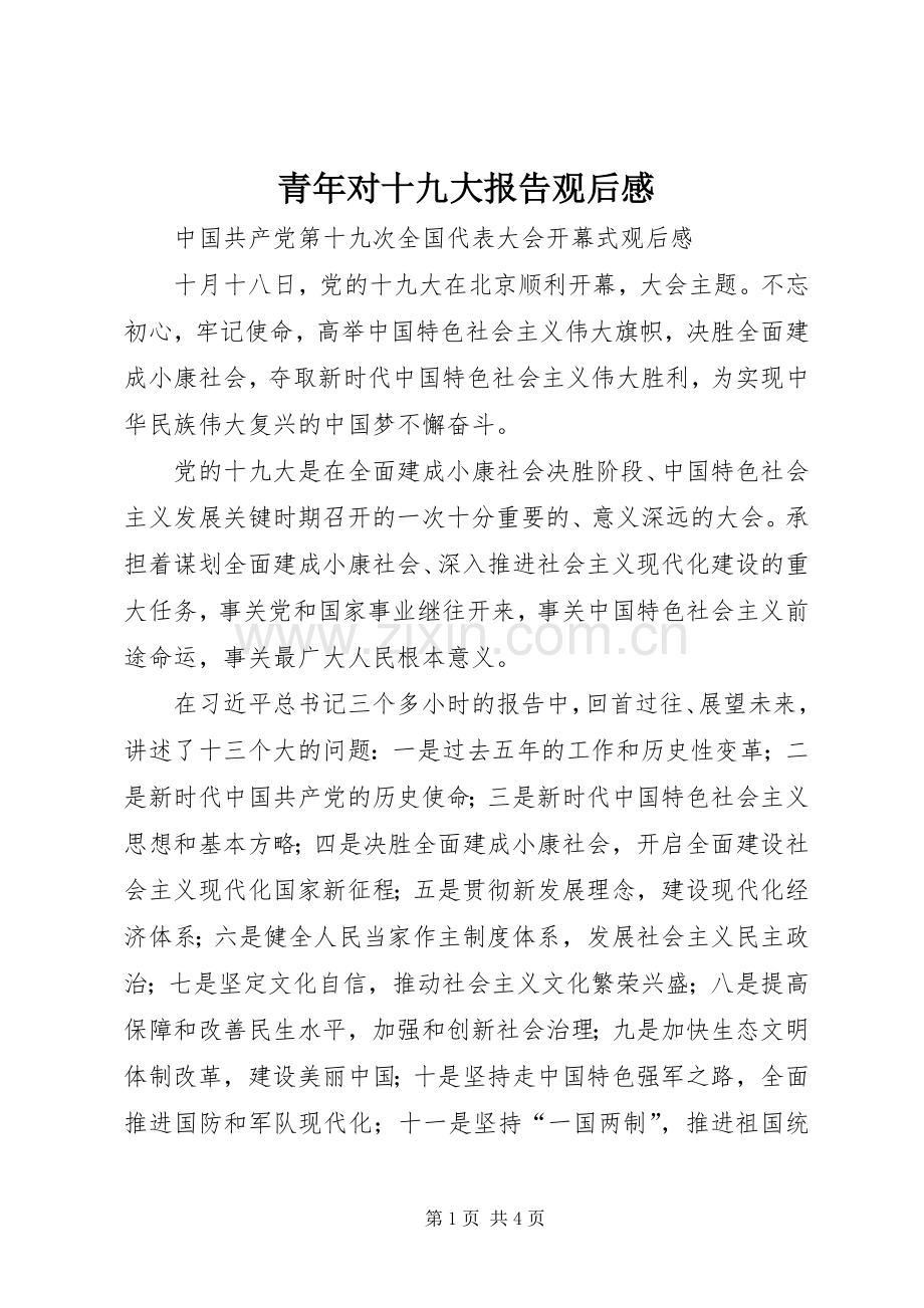 青年对十九大报告观后心得.docx_第1页