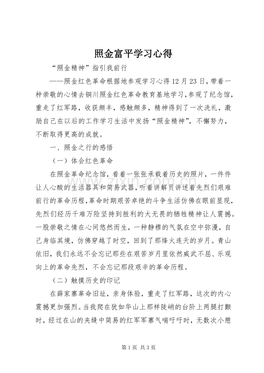 照金富平学习体会.docx_第1页