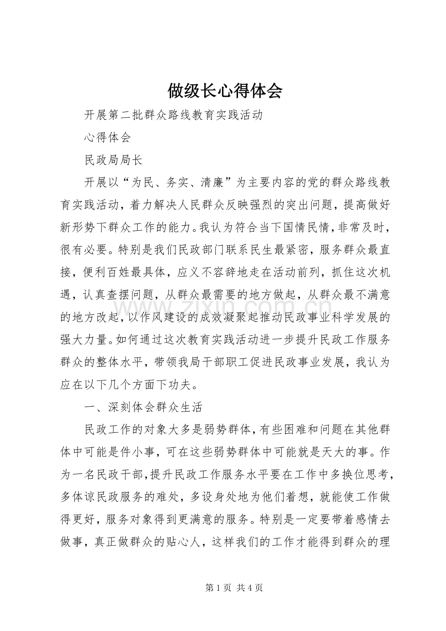 做级长体会心得.docx_第1页