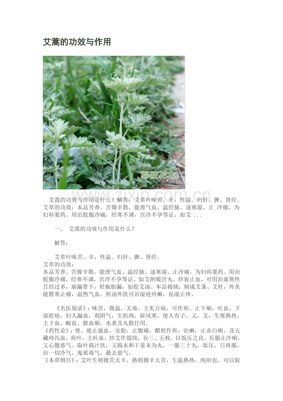 艾蒿的功效与作用.doc_第1页