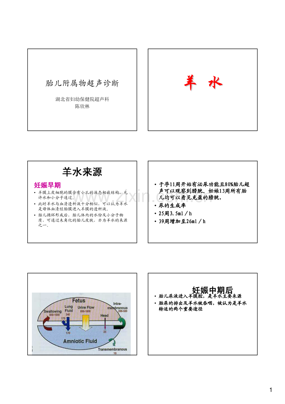 陈欣林教授胎儿附属物.pdf_第1页