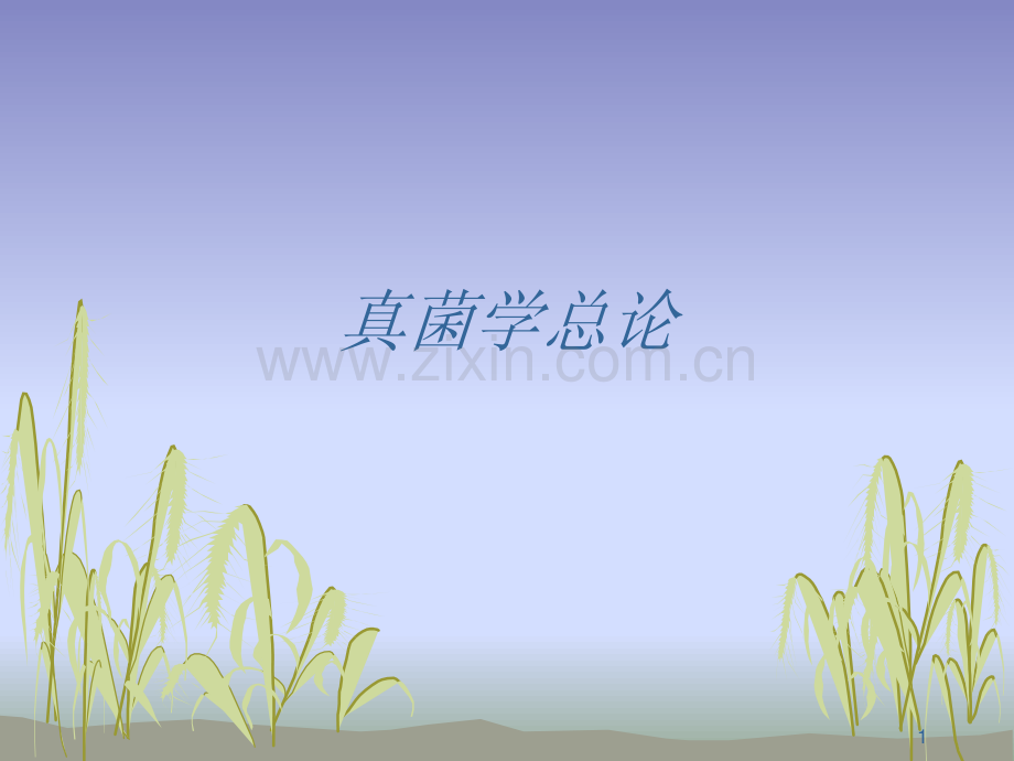 真菌学总论2012.pdf_第1页