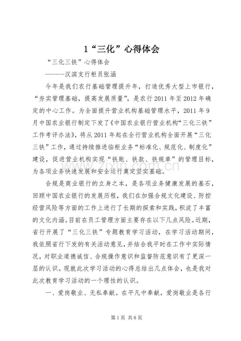 “三化”体会心得.docx_第1页