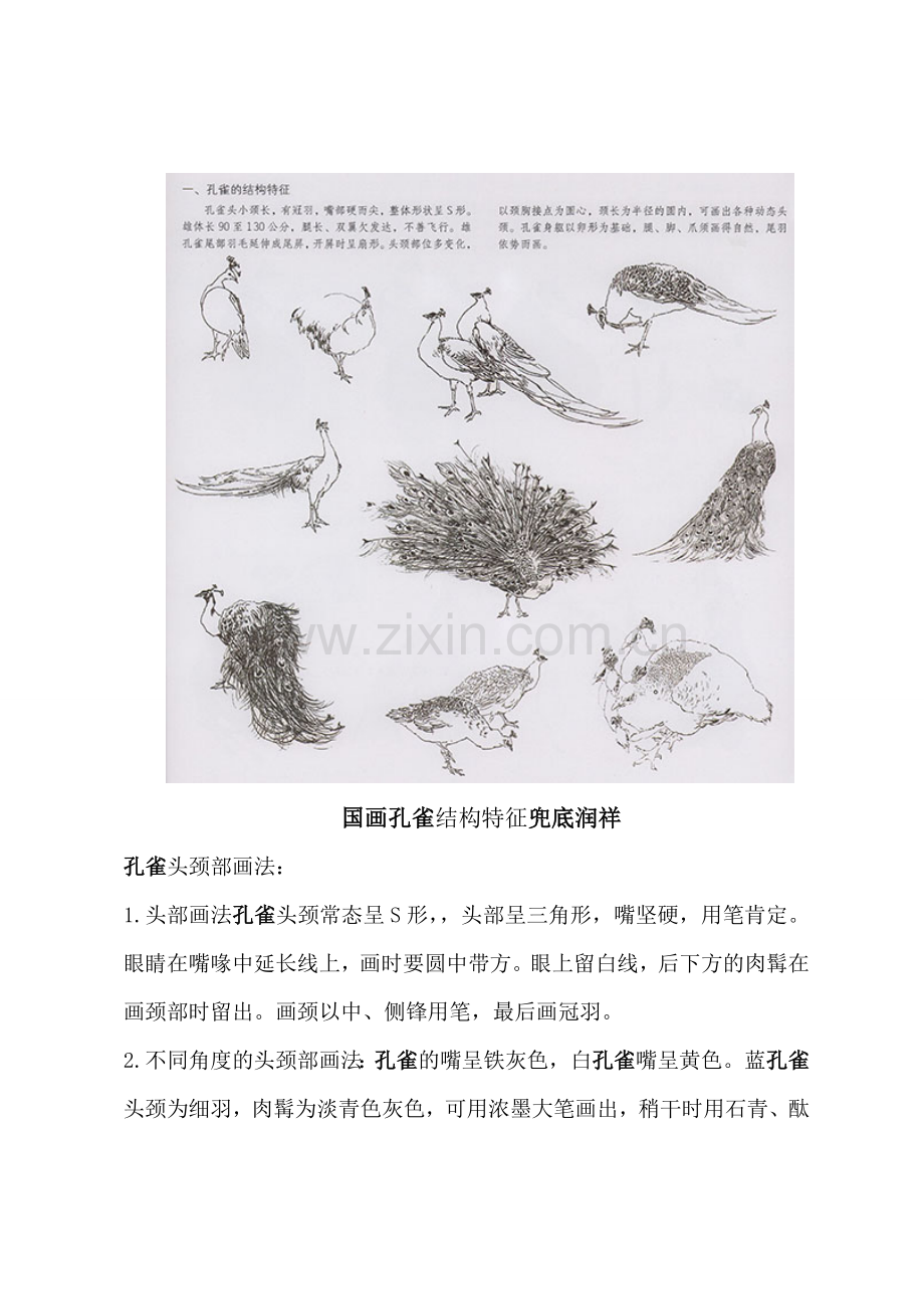 兜底润祥国画孔雀的画法.doc_第2页
