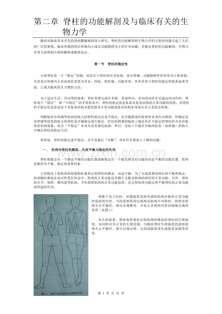 脊柱的功能解剖.doc_第1页