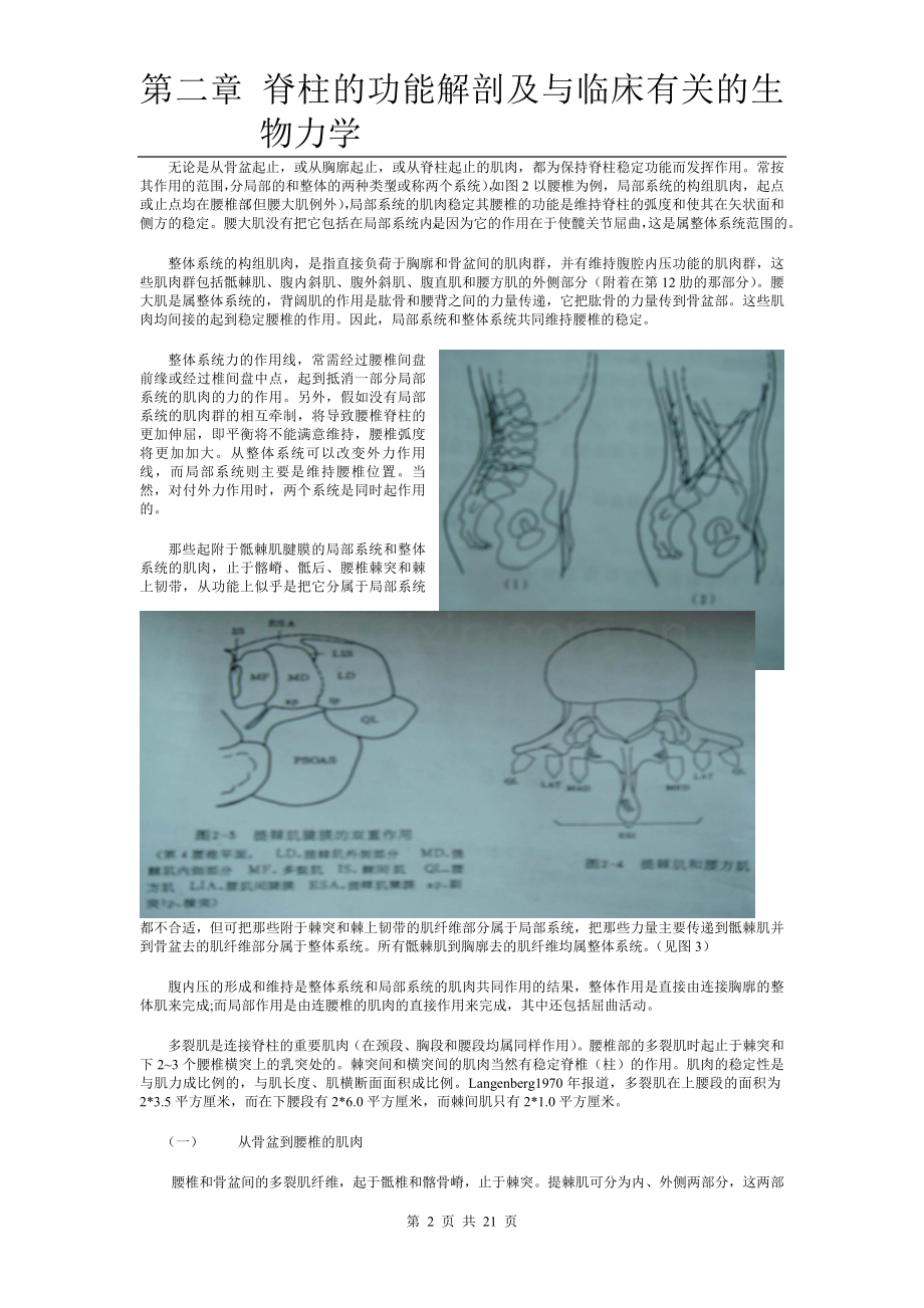 脊柱的功能解剖.doc_第2页