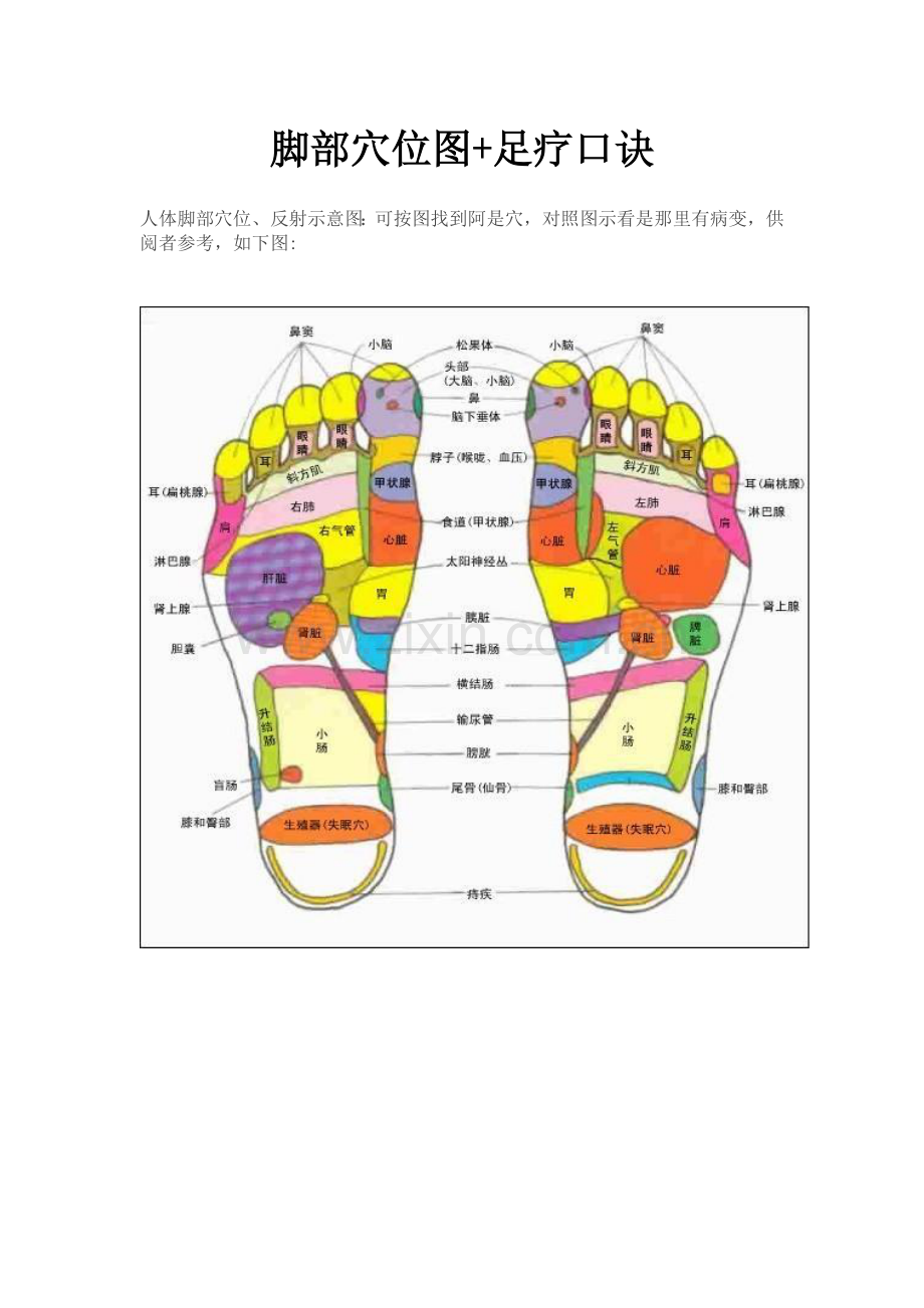 脚部穴位图+足疗口诀.doc_第1页