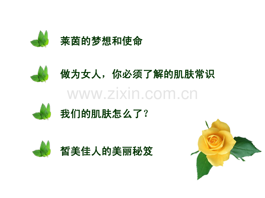 皙美佳人产品.pdf_第2页