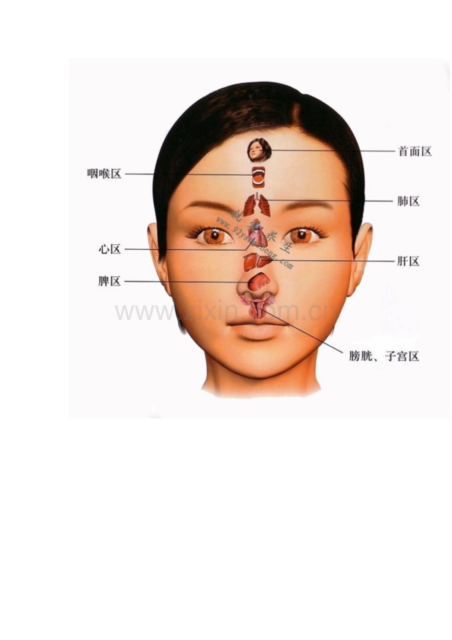 中医手诊.doc_第2页