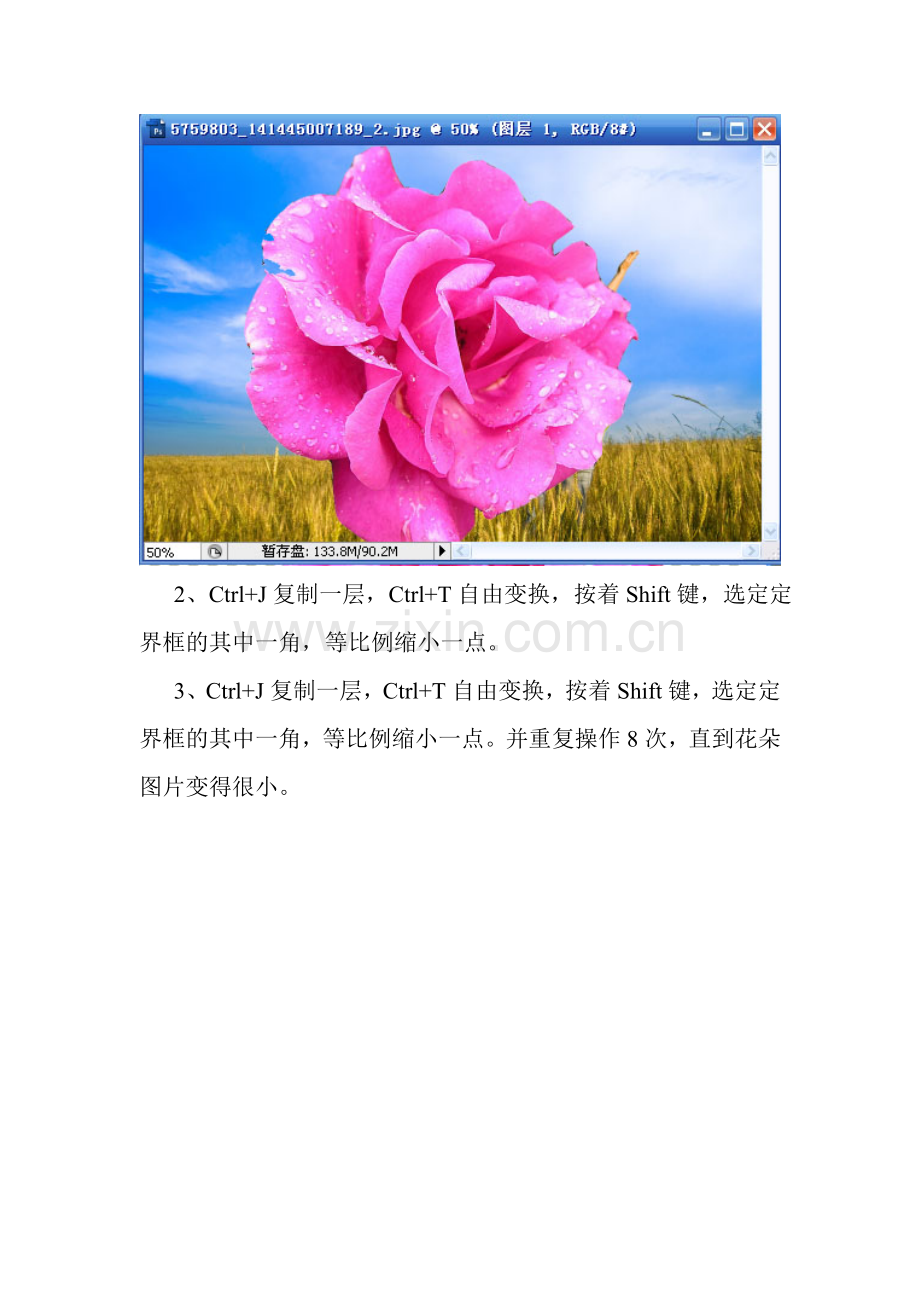 Photoshop中图像缩放与制作渐隐与渐近的动画.doc_第2页