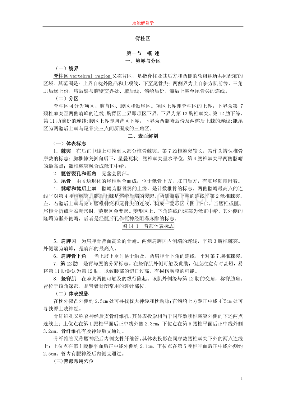 脊柱区fs-13.pdf_第1页