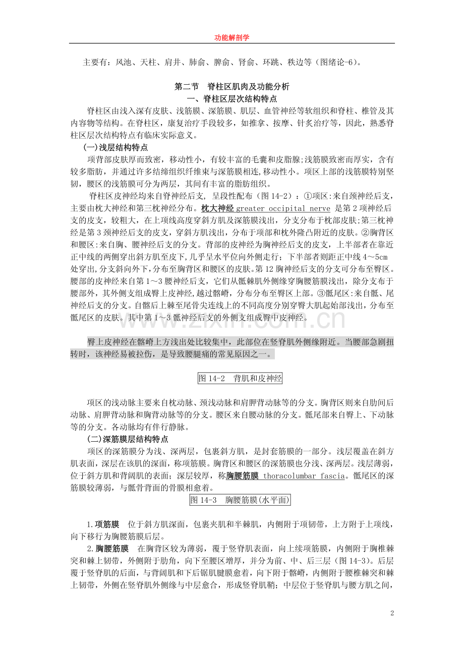 脊柱区fs-13.pdf_第2页