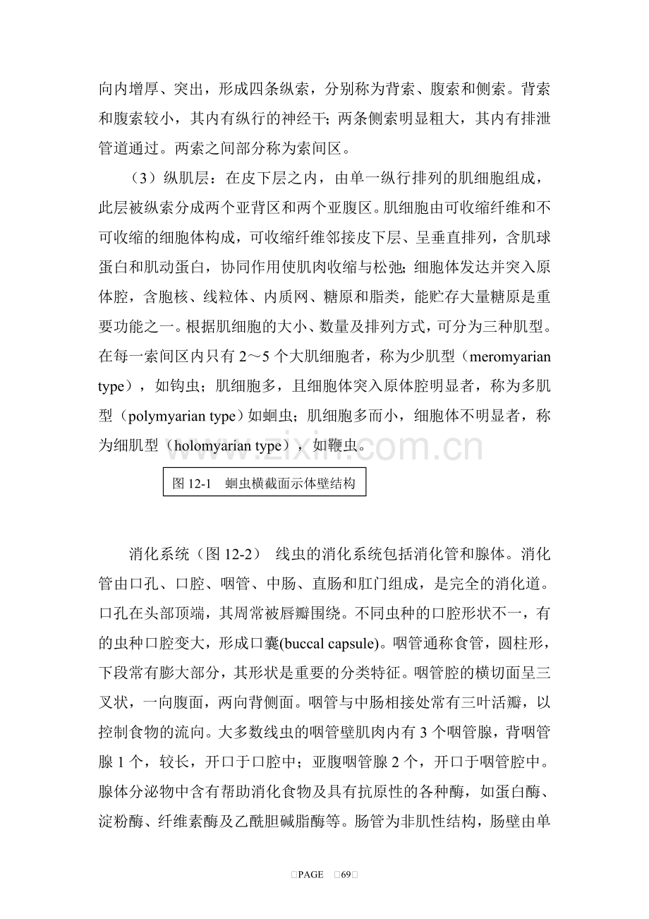 第十二章 线虫.doc_第2页