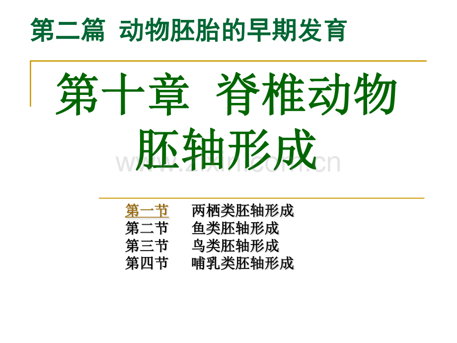 第10章 脊椎动物胚轴形成.pdf_第1页