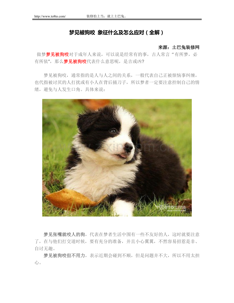 梦见被狗咬 象征什么及怎么应对(全解).doc_第1页