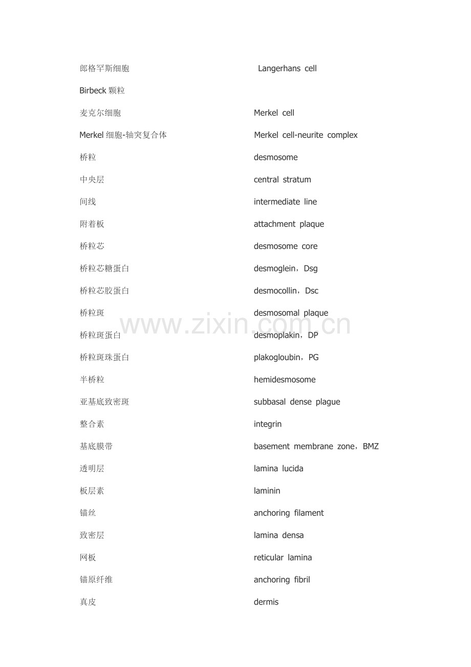 皮肤科专业英语词汇.doc_第2页