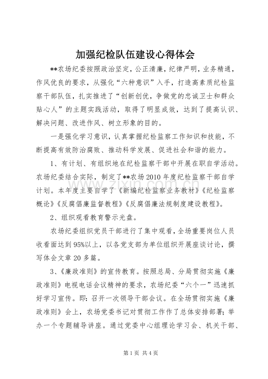 加强纪检队伍建设体会心得.docx_第1页