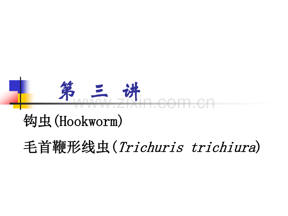 第三讲钩鞭虫.pdf_第2页
