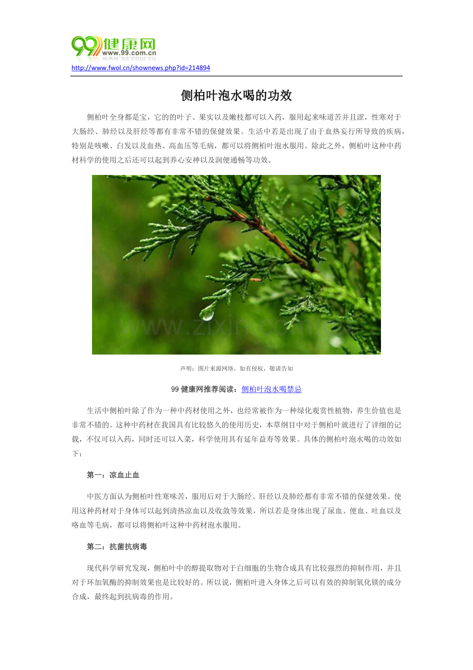 侧柏叶泡水喝的功效.docx_第1页