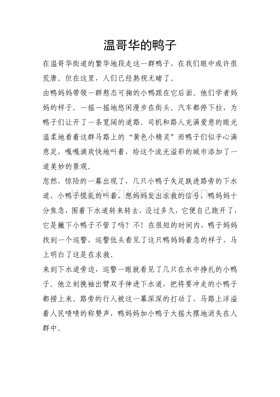 温哥华的鸭子.doc_第1页