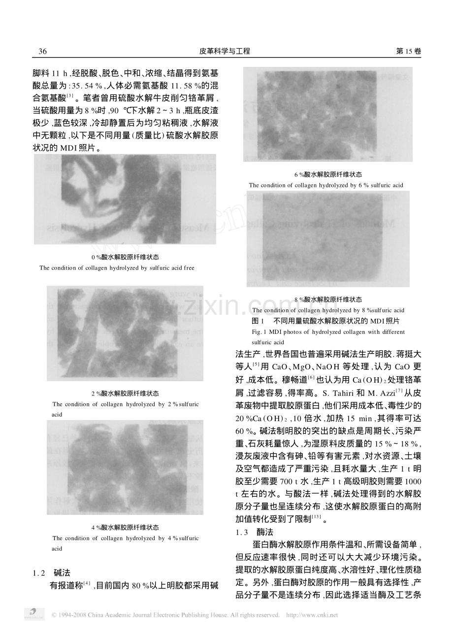 胶原的水解方法及其水解状况的检测.pdf_第2页