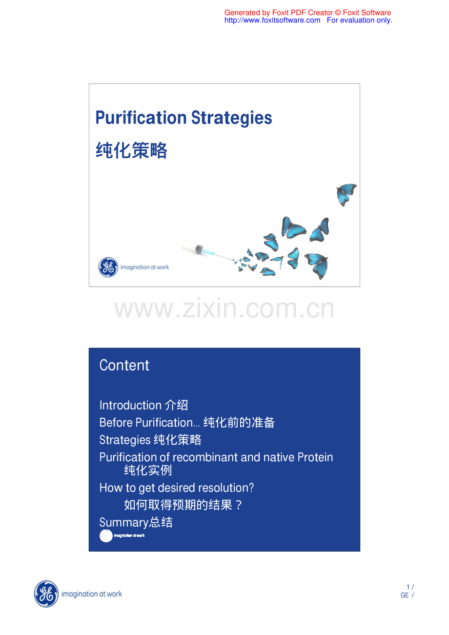 蛋白纯化策略.pdf_第1页