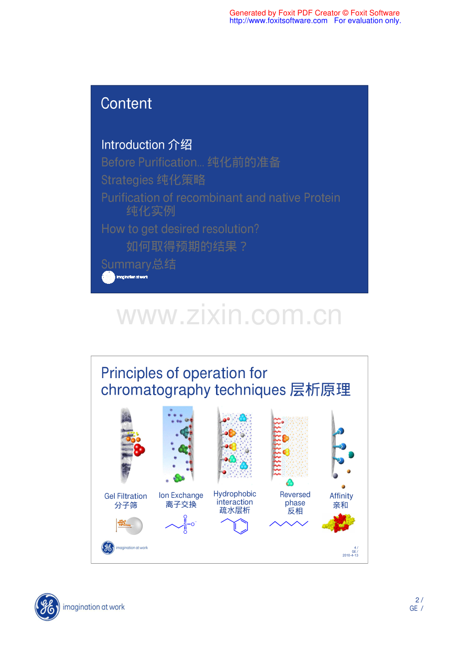 蛋白纯化策略.pdf_第2页