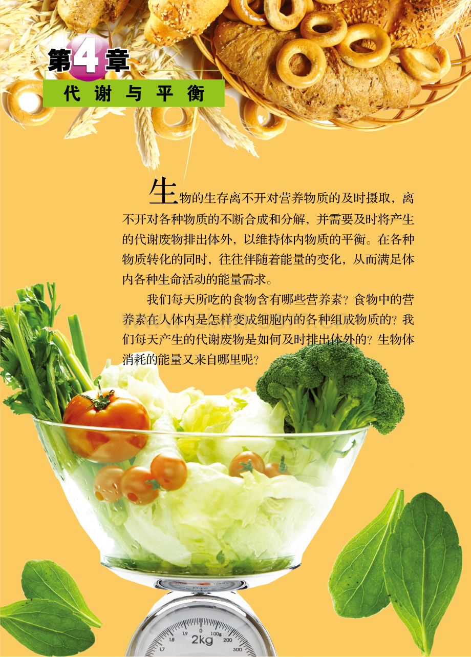 九年级上册+第4章.pdf_第1页