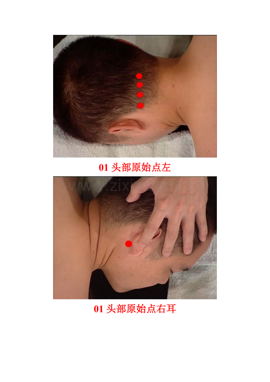 全身各原始点对应图解.doc_第2页