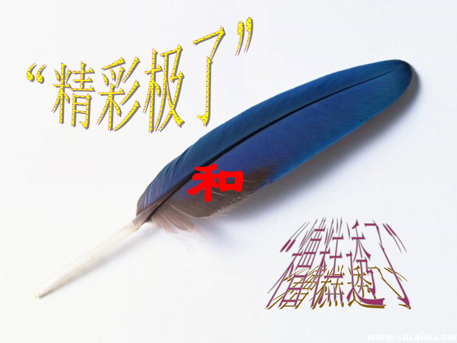 五年级语文上册l“精彩极了”和“糟糕透了”.ppt_第2页